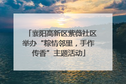 襄阳高新区紫薇社区举办“粽情邻里，手作传香”主题活动