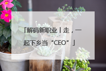 解码新职业丨走，一起下乡当“CEO”