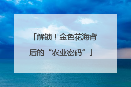 解锁！金色花海背后的“农业密码”