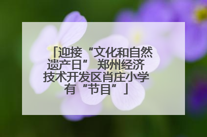 迎接“文化和自然遗产日” 郑州经济技术开发区肖庄小学有“节目”