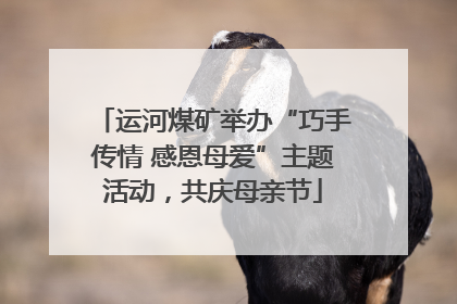 运河煤矿举办“巧手传情 感恩母爱”主题活动，共庆母亲节