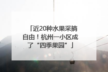 近20种水果采摘自由！杭州一小区成了“四季果园”
