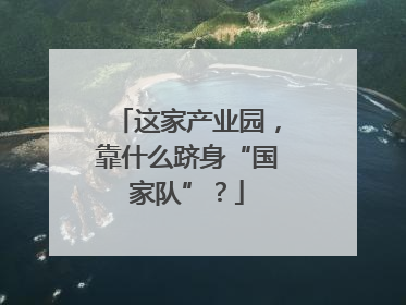 这家产业园，靠什么跻身“国家队”？