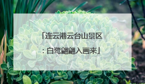 连云港云台山景区：白鹭翩翩入画来