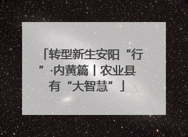 转型新生安阳“行”·内黄篇丨农业县有“大智慧”