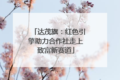 达茂旗：红色引擎助力合作社走上致富新赛道