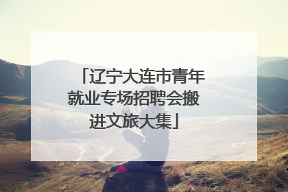 辽宁大连市青年就业专场招聘会搬进文旅大集