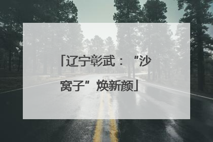 辽宁彰武：“沙窝子”焕新颜