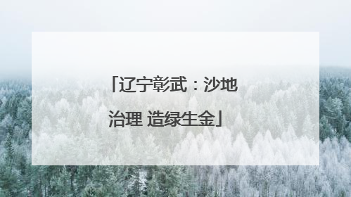 辽宁彰武：沙地治理 造绿生金