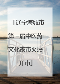 辽宁海城市第一届中医药文化夜市火热开市