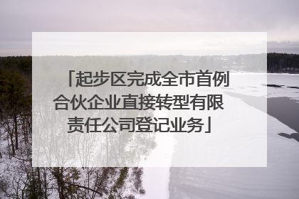 起步区完成全市首例合伙企业直接转型有限责任公司登记业务