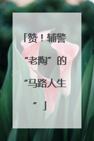 赞！辅警“老陶”的“马路人生”