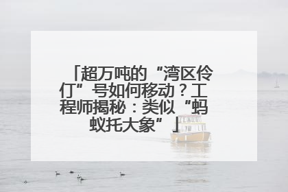 超万吨的“湾区伶仃”号如何移动？工程师揭秘：类似“蚂蚁托大象”