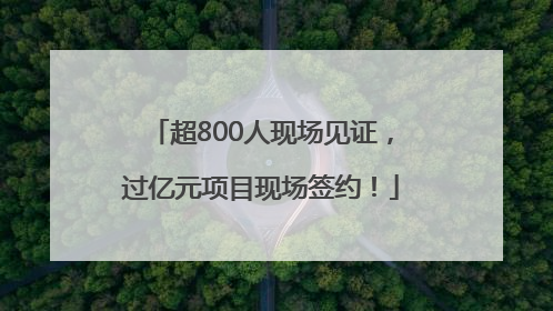 超800人现场见证，过亿元项目现场签约！