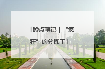 蹲点笔记｜“疯狂”的分拣工