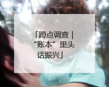 蹲点调查｜“账本”里头话振兴