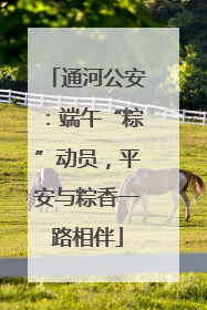 通河公安：端午“粽”动员，平安与粽香一路相伴