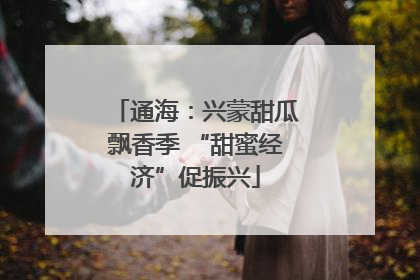 通海：兴蒙甜瓜飘香季 “甜蜜经济”促振兴