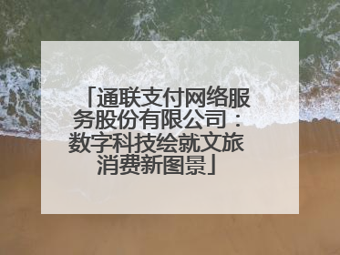 通联支付网络服务股份有限公司：数字科技绘就文旅消费新图景