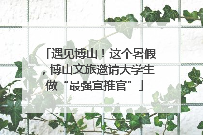 遇见博山！这个暑假，博山文旅邀请大学生做“最强宣推官”