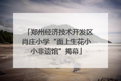 郑州经济技术开发区肖庄小学“面上生花小小非遗馆”揭幕