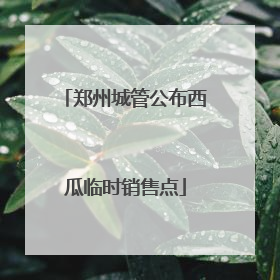 郑州城管公布西瓜临时销售点