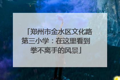 郑州市金水区文化路第三小学：在这里看到拳不离手的风景