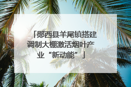 郧西县羊尾镇搭建调制大棚激活烟叶产业“新动能”