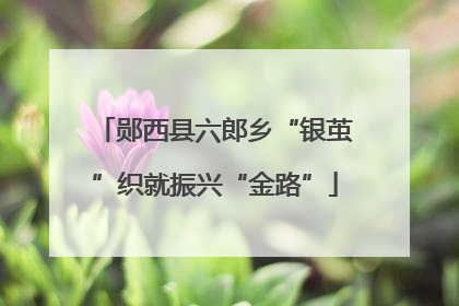 郧西县六郎乡“银茧”织就振兴“金路”