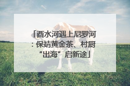 酉水河遇上尼罗河：保靖黄金茶、村厨“出海”启新途