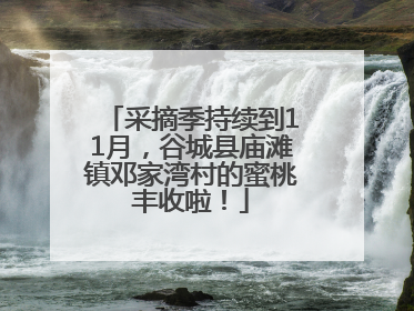 采摘季持续到11月，谷城县庙滩镇邓家湾村的蜜桃丰收啦！