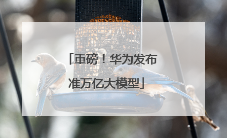重磅！华为发布准万亿大模型