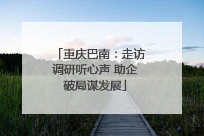 重庆巴南：走访调研听心声 助企破局谋发展