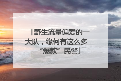 野生流量偏爱的一大队，缘何有这么多“爆款”民警