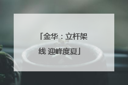 金华：立杆架线 迎峰度夏