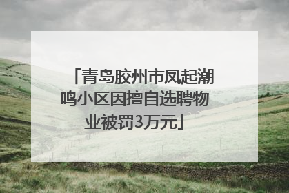 青岛胶州市凤起潮鸣小区因擅自选聘物业被罚3万元