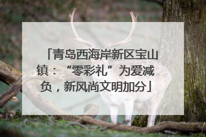青岛西海岸新区宝山镇：“零彩礼”为爱减负，新风尚文明加分