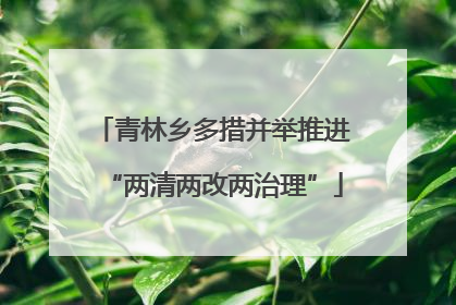 青林乡多措并举推进“两清两改两治理”