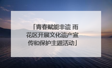 青春赋能非遗 雨花区开展文化遗产宣传和保护主题活动