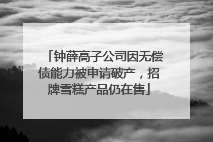 钟薛高子公司因无偿债能力被申请破产，招牌雪糕产品仍在售