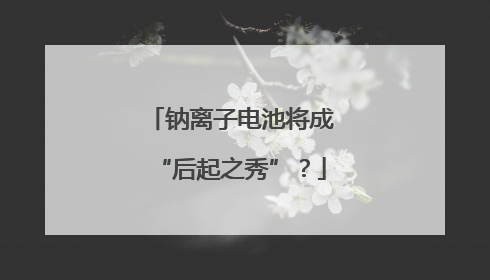 钠离子电池将成“后起之秀”？