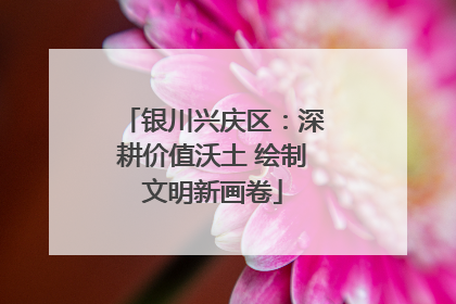 银川兴庆区：深耕价值沃土 绘制文明新画卷