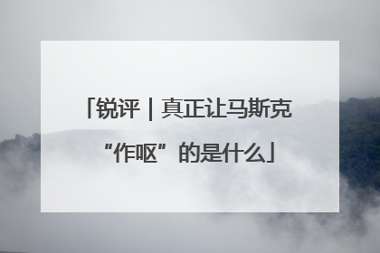 锐评｜真正让马斯克“作呕”的是什么
