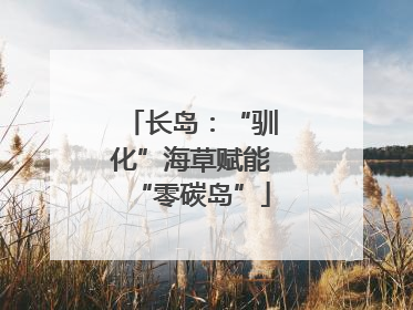 长岛：“驯化”海草赋能“零碳岛”