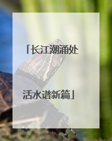 长江潮涌处 活水谱新篇