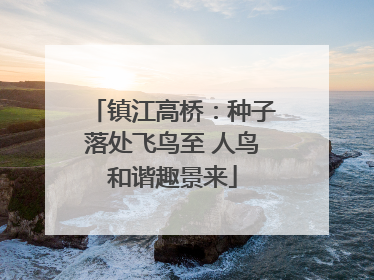 镇江高桥：种子落处飞鸟至 人鸟和谐趣景来