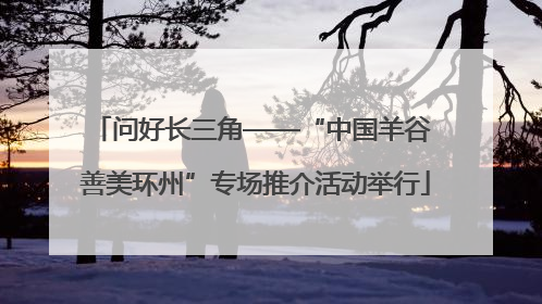 问好长三角——“中国羊谷 善美环州”专场推介活动举行