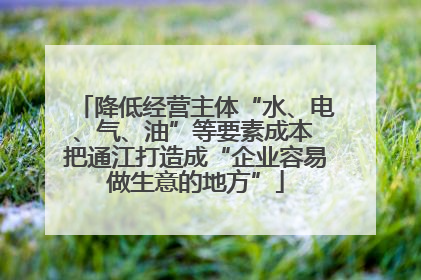 降低经营主体“水、电、气、油”等要素成本 把通江打造成“企业容易做生意的地方”