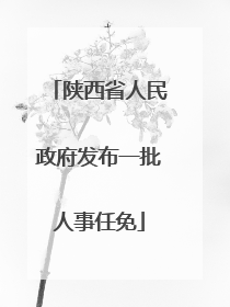 陕西省人民政府发布一批人事任免