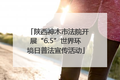 陕西神木市法院开展“6.5”世界环境日普法宣传活动
